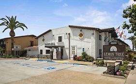 The Lemon Tree Hotel